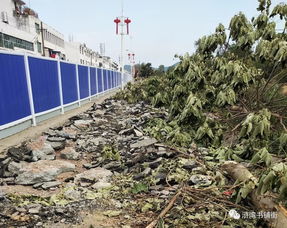 滸灣“一水兩岸”景觀工程正式啟動勘察，打造濱水生態新地標